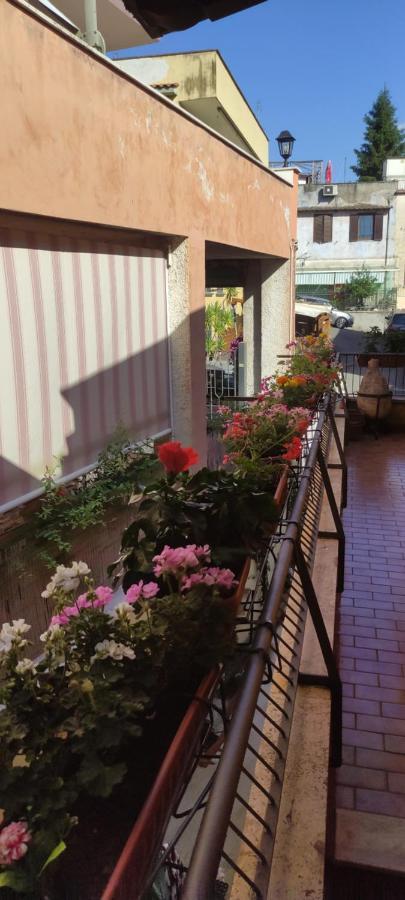 Elisa E Carla House Beautiful Apartments On The Cassia Rome Exterior photo