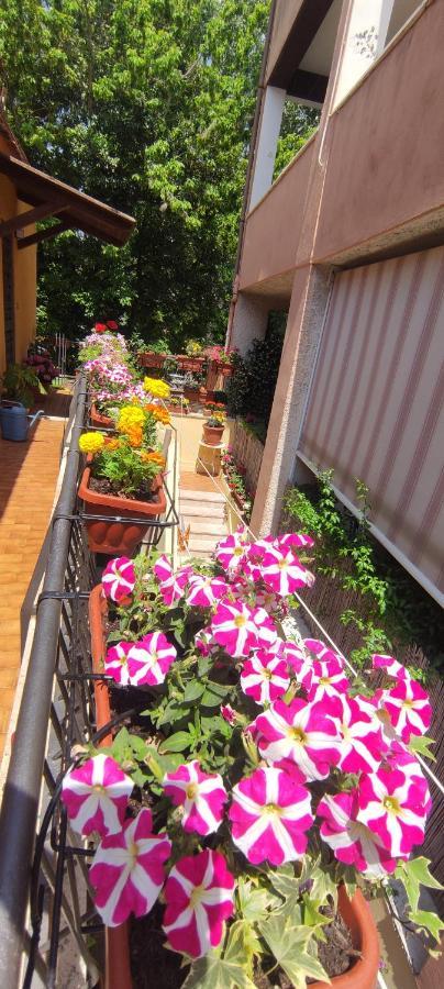 Elisa E Carla House Beautiful Apartments On The Cassia Rome Exterior photo